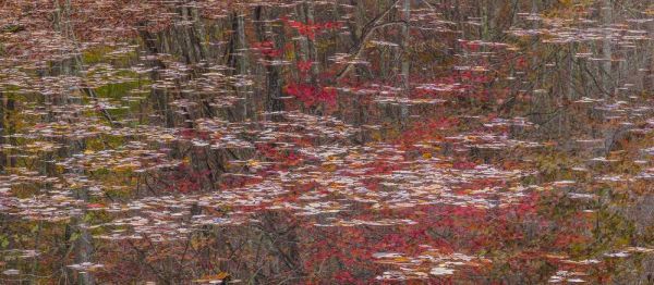 TN Fall reflections in Fall Creek Lake